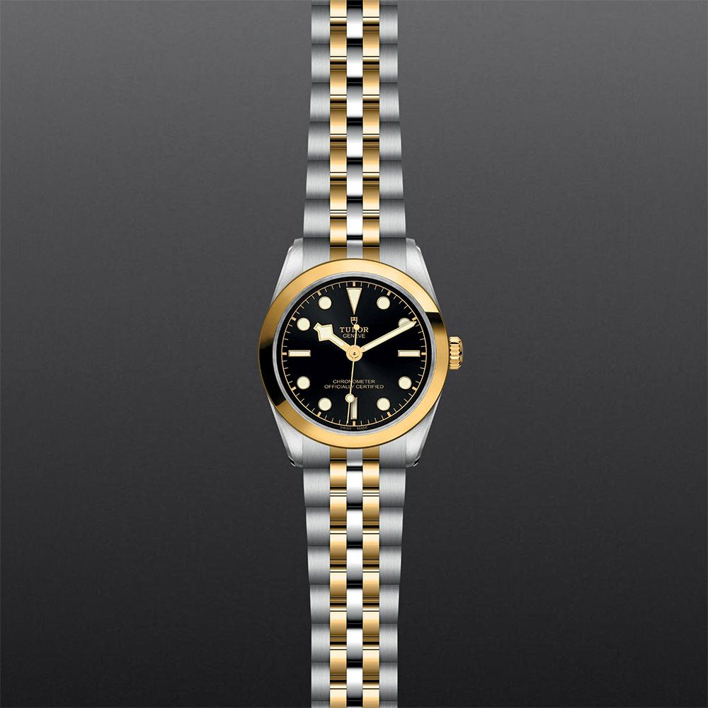 tudor black bay 31